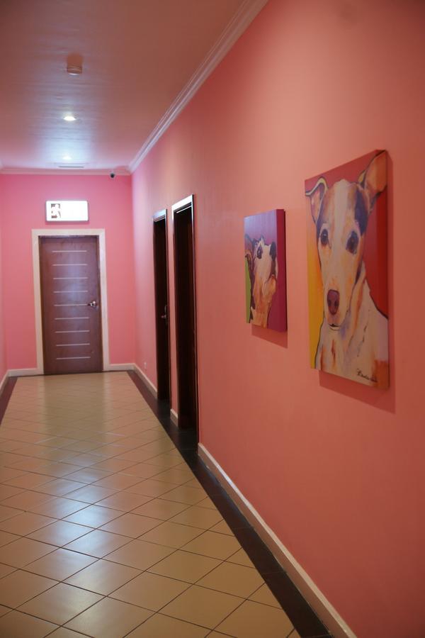 Hotel Morobe Lae Dış mekan fotoğraf